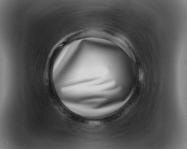 X0000086240388200704191825