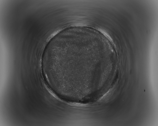 X0000086240389200704191825