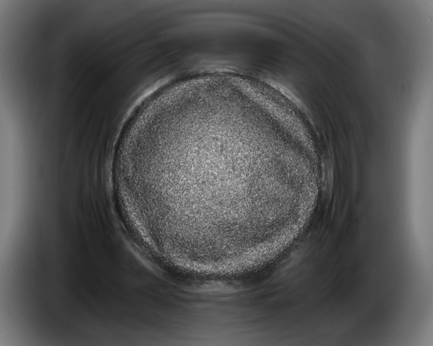X0000086240390200704191825