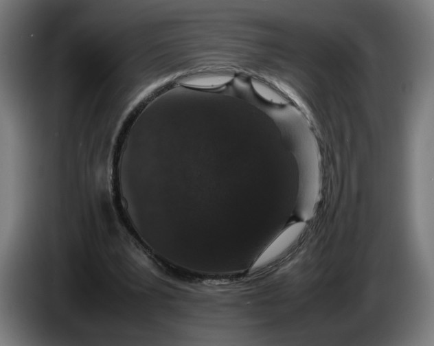 X0000086240391200704191825