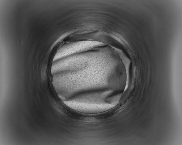 X0000086240392200704191825