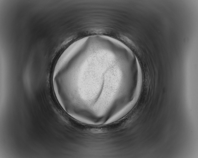 X0000086240394200704191825