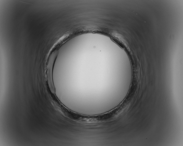X0000086240395200704191825