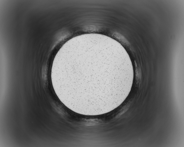 X0000086240396200704191825