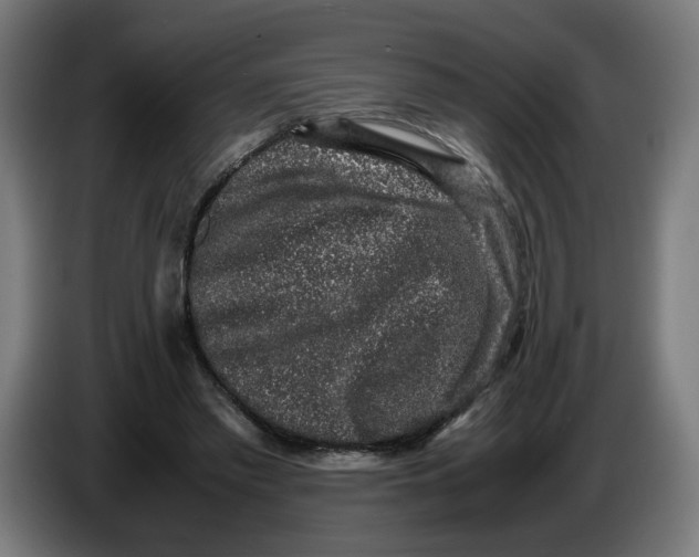 X0000086240397200704191825