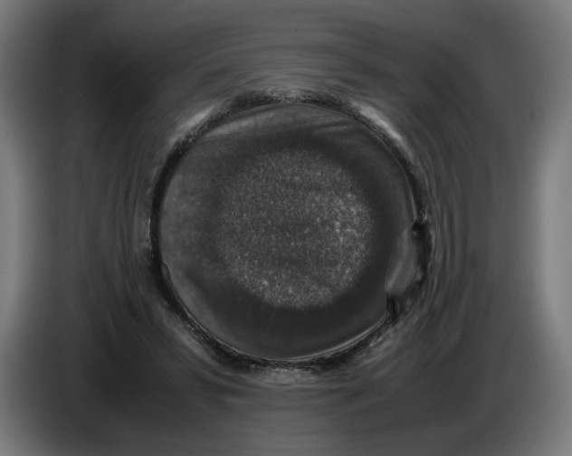 X0000086240399200704191825