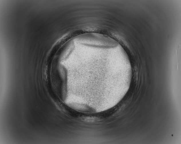 X0000086240400200704191825