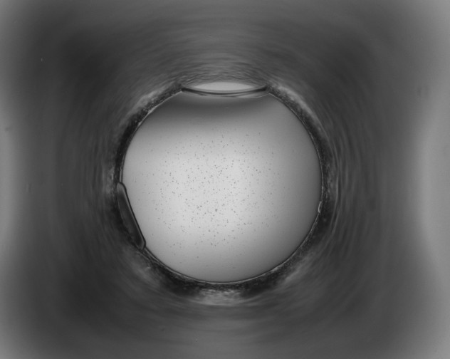 X0000086240403200704191825