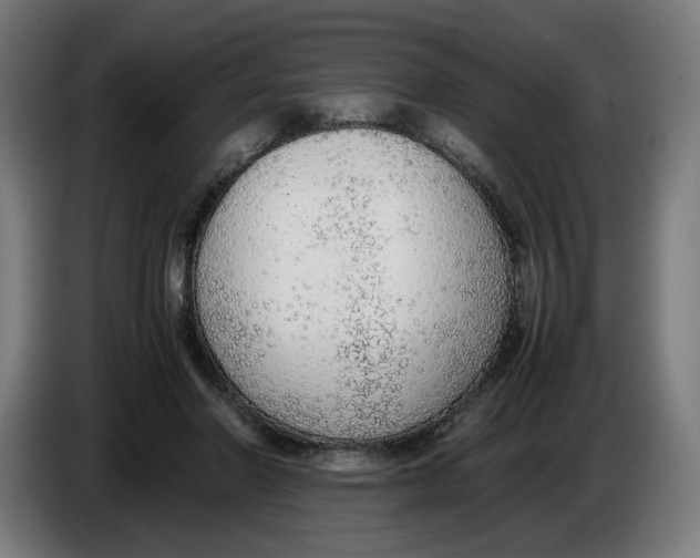 X0000086240406200704191825