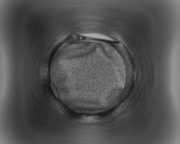 X0000086240407200704191825