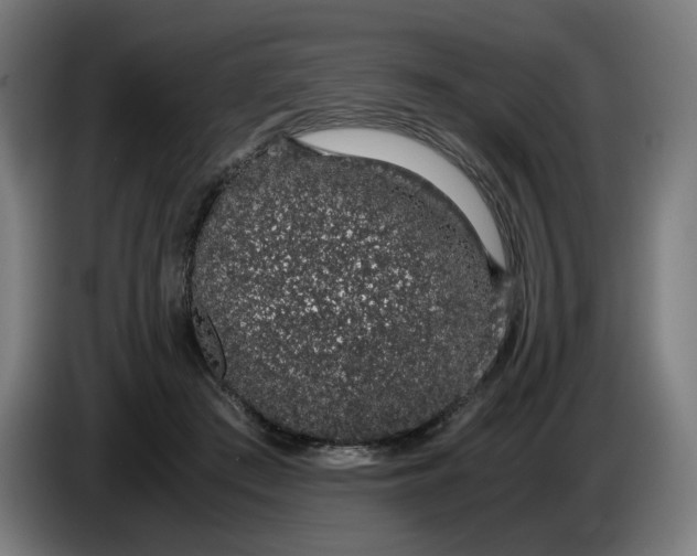 X0000086240409200704191825