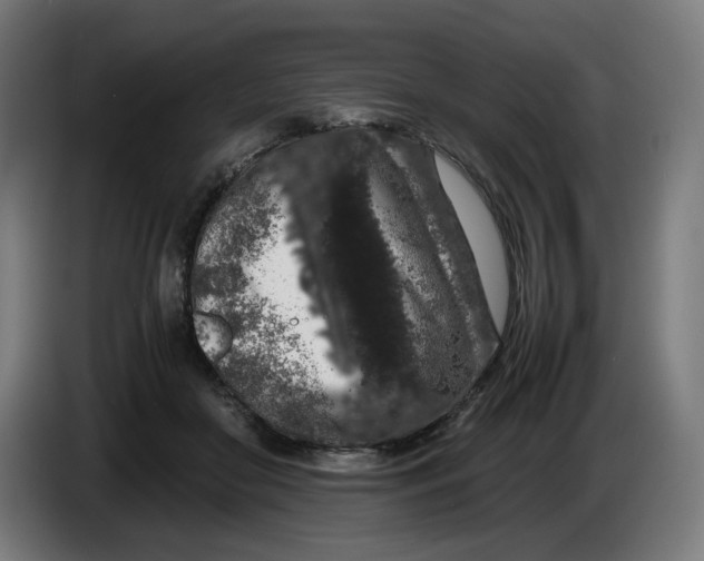X0000086240410200704191825
