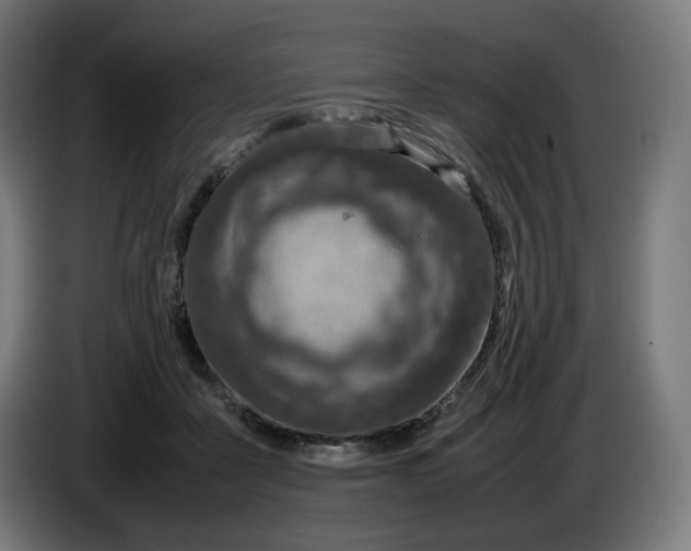 X0000086240411200704191825