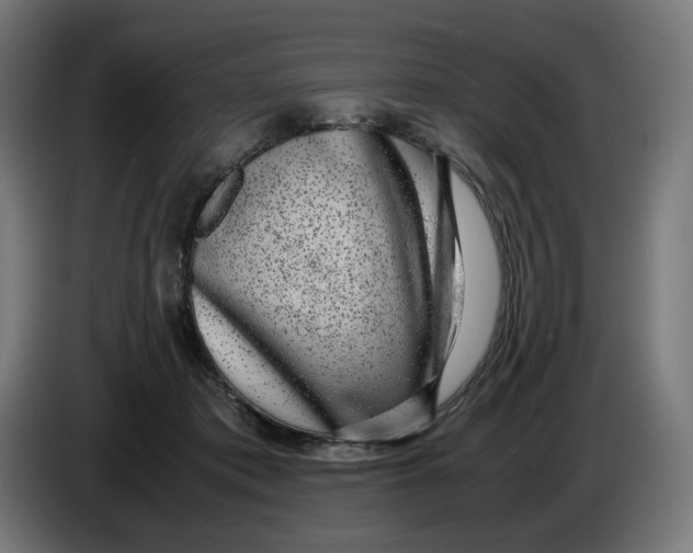X0000086240413200704191825