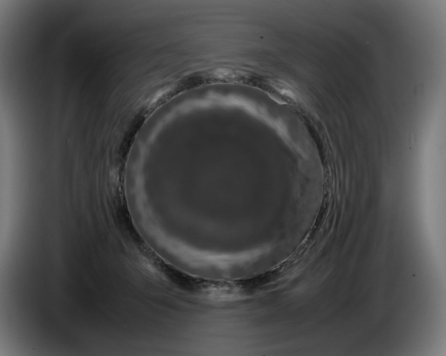 X0000086240415200704191825