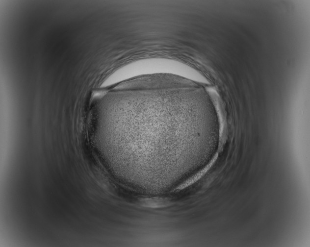 X0000086240417200704191825