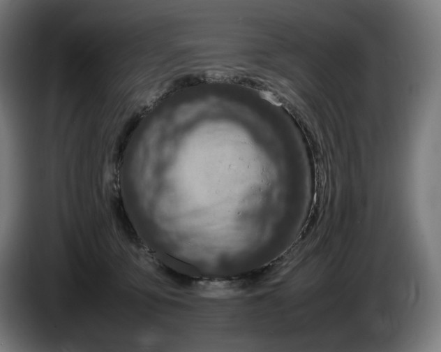 X0000086240419200704191825
