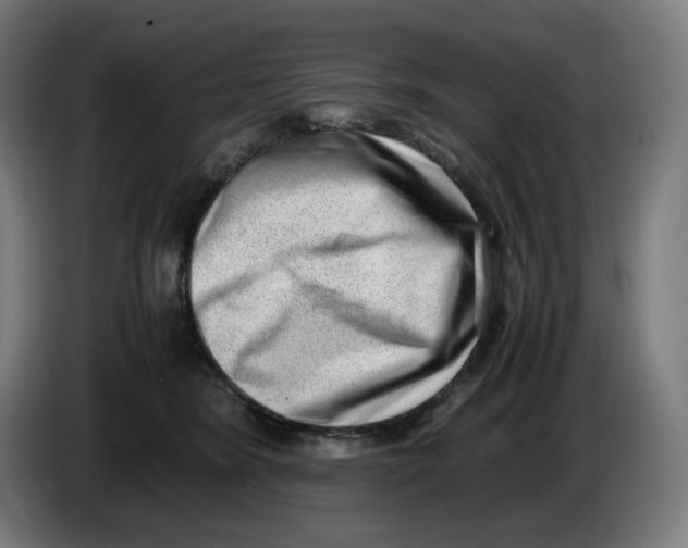 X0000086240420200704191825