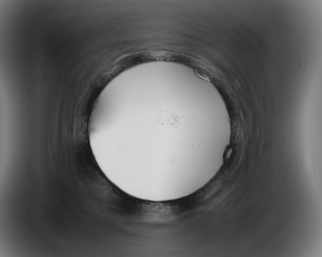 X0000086240421200704191825