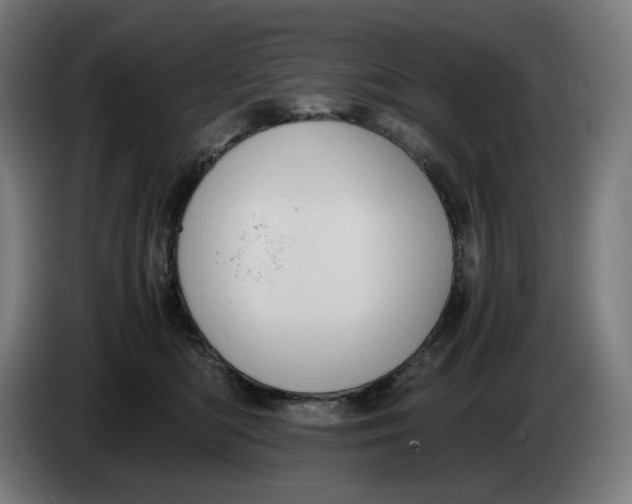 X0000086240422200704191825