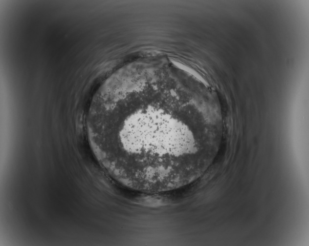 X0000086240423200704191825