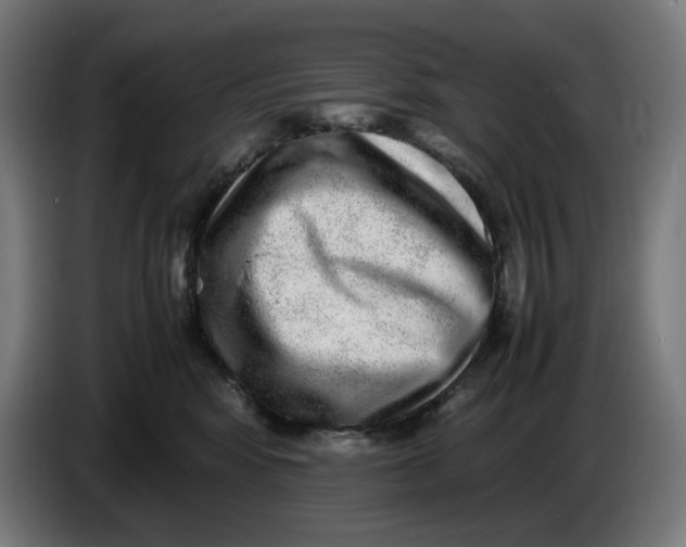 X0000086240424200704191825