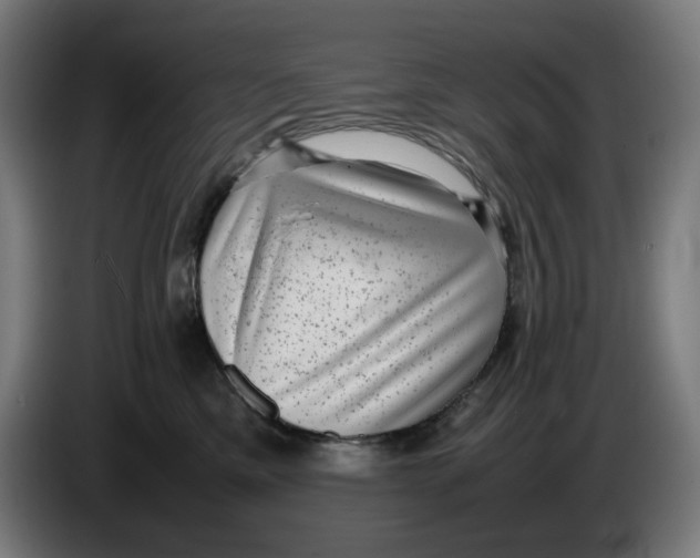 X0000086240425200704191825