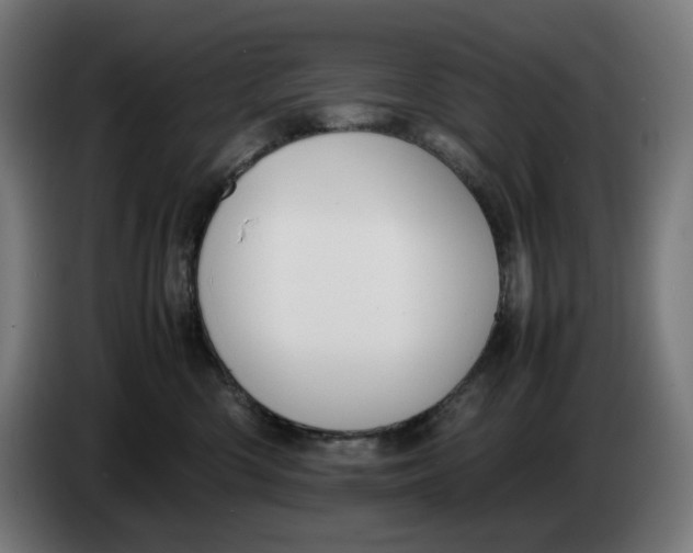 X0000086240426200704191825