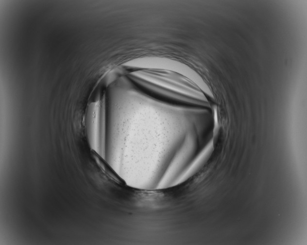 X0000086240429200704191825