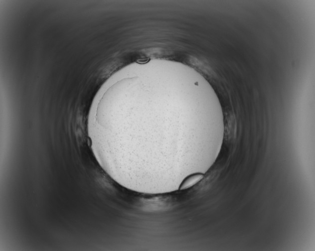 X0000086240430200704191825