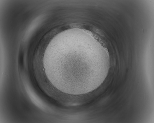X0000086240431200704191825