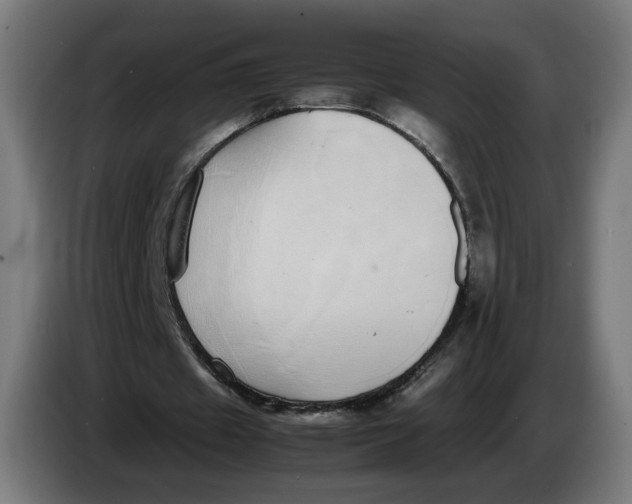 X0000086240433200704191824