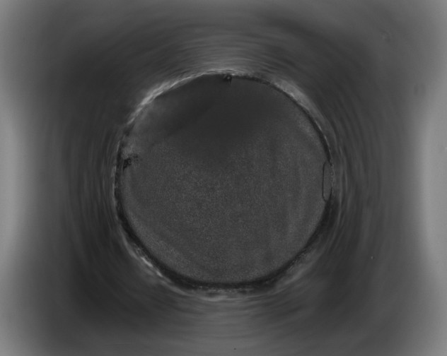 X0000086240434200704191824