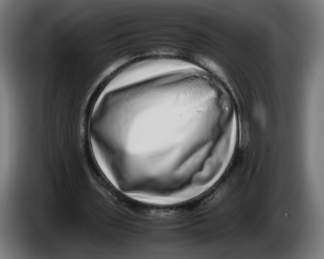 X0000086240435200704191824