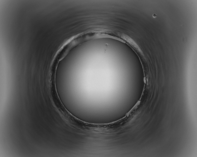 X0000086240436200704191824
