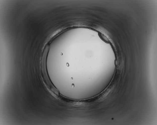 X0000086240437200704191824