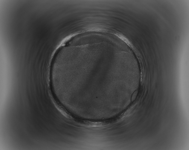 X0000086240438200704191824