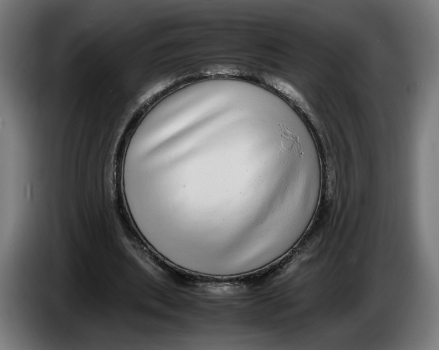 X0000086240439200704191824