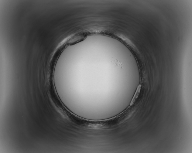 X0000086240440200704191824
