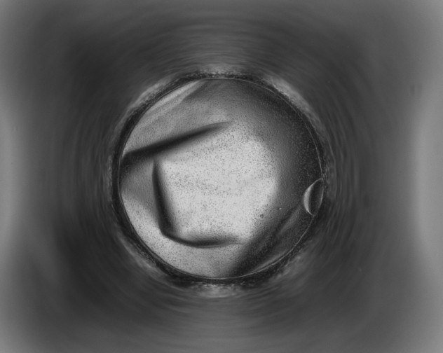 X0000086240442200704191824