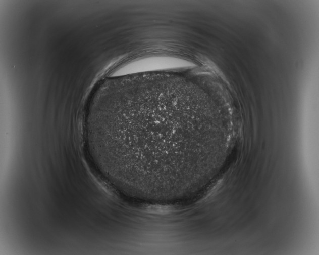 X0000086240444200704191824