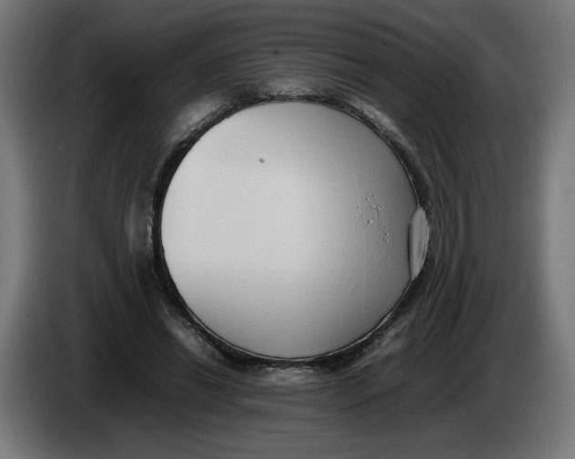 X0000086240446200704191824