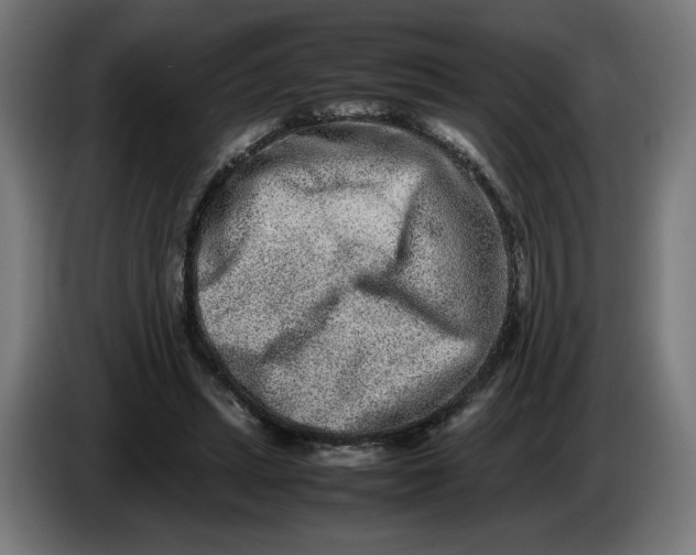 X0000086240447200704191824
