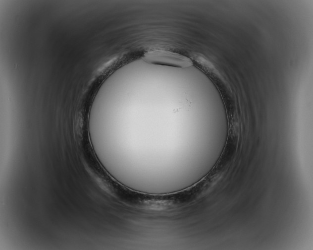 X0000086240448200704191824