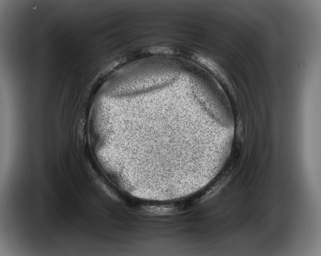 X0000086240449200704191824