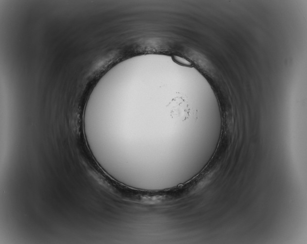 X0000086240450200704191824
