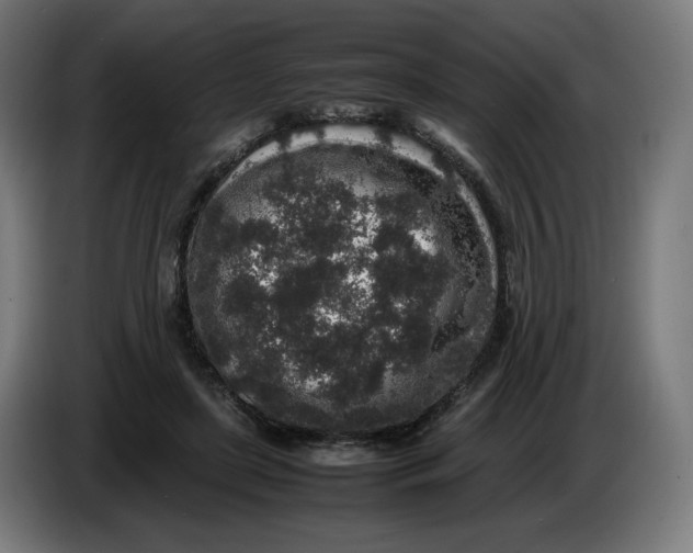 X0000086240451200704191824