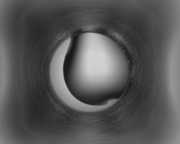 X0000086240452200704191824