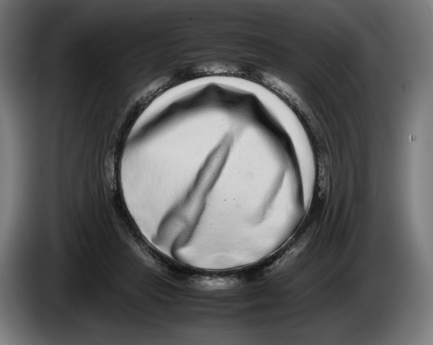 X0000086240453200704191824