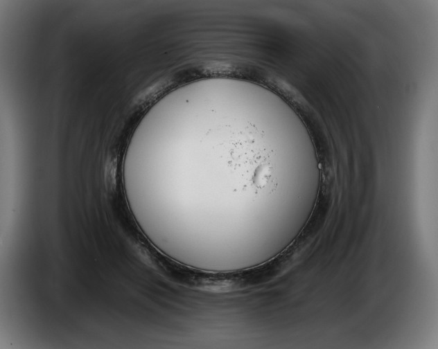 X0000086240454200704191824